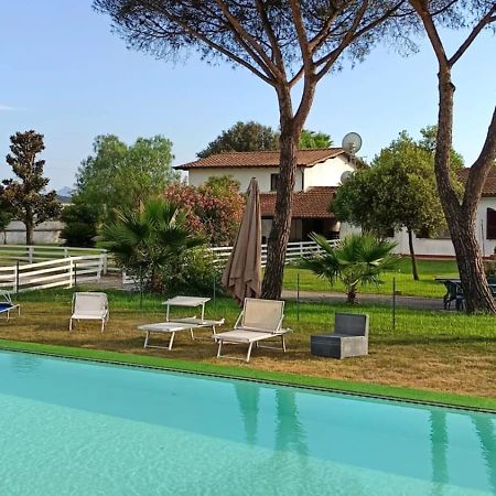 B&B Tenuta Di Vado Piano Nella Selva Di Circe Cerasella Eksteriør bilde