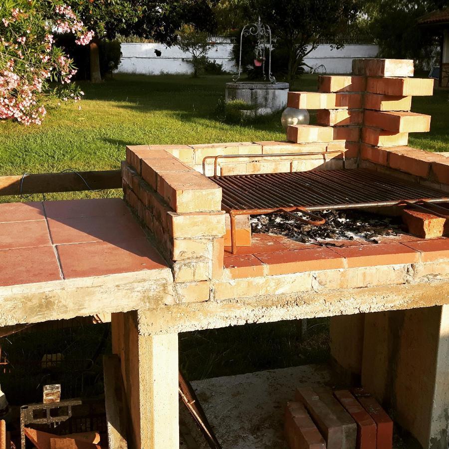 B&B Tenuta Di Vado Piano Nella Selva Di Circe Cerasella Eksteriør bilde